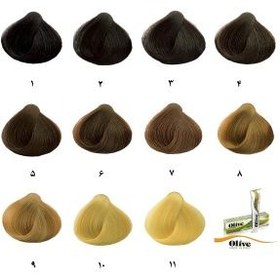 تصویر رنگ مو الیو سری طبیعی Olive حجم 100 میلی لیتر - 2 قهوه ای خیلی تیره 