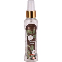 تصویر بادی میست زنانه تراست مدل الموند گلوریا 100 میل Women's Almond Gloria Trust Wind Mist 100ml