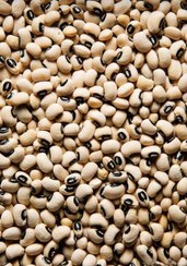 تصویر لوبیا چشم بلبلی اعلا( نیم کیلویی) 