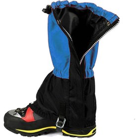 تصویر گتر زاگرس منجیتی 