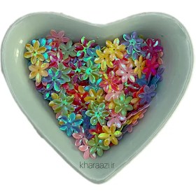 تصویر پولک گل رنگارنگ 5 گرمی 