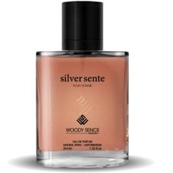 تصویر عطر جیبی مردانه وودی سنس مدل سیلور سنت Silver Sente حجم 30 میلی لیتر 