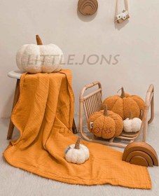 تصویر کدوی تدی 