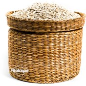 تصویر جوی دوسر فوری فیتوسکوپ 