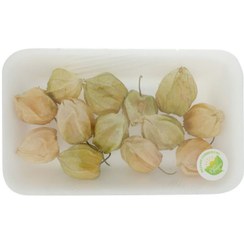 تصویر میوه استوایی فیسالیس 