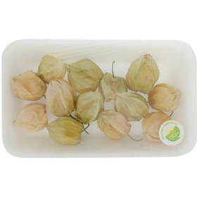 تصویر میوه استوایی فیسالیس 