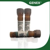 تصویر کیت رنگ آمیزی AO/PI (آکریدین اورنج/پروپیدیوم یدید) 