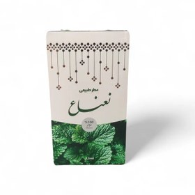 تصویر عطر طبیعی نعناع مرهم طبیب ۲.۵ گرمی 