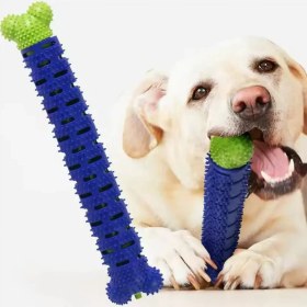 تصویر دندانی جرم گیر دندان سگ 