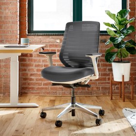 تصویر Branch Ergonomic Chair - A Versatile Desk Chair with Adjustable Lumbar Support Breathable Mesh Backrest and Smooth Wheels - Experience Optimal Comfort and Support - Graphite - White - ارسال 15 الی 20 روز کاری 