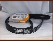 تصویر تسمه هیدرولیک پژو 206 تیپ 5 رایکالتون 