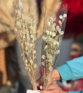 تصویر فروشگاه گلستونک