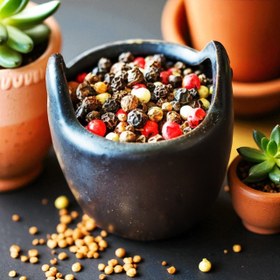 تصویر دانه چهار فلفل هندی 