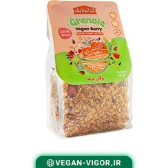 تصویر گرانولا وگان بری | حاوی کرنبری و توت فرنگی و بادام درختی | 650 گرم 