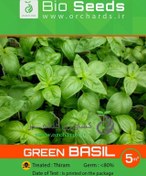 تصویر بذر ريحان سبز Bio Seeds 