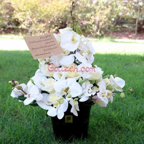 تصویر باکس گل ترحیم ارکیده 