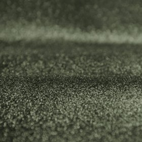 تصویر صدفی زیتونی 