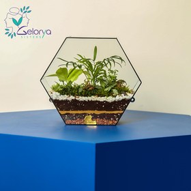 تصویر تراریوم باغ دیواری 