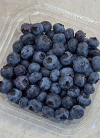 تصویر بلوبری تازه بسته ۱۲۵ گرمی 