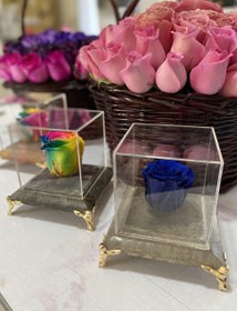 تصویر رز جاودان .. 