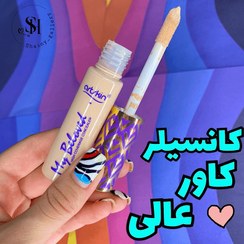 تصویر کانسیلر آرت اسکین مدل بی لاود طرح تارت Arts skin liquid concealer