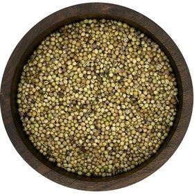 تصویر دانه تخم گشنیز 