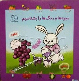 تصویر میوه‌ها و رنگ‌ها را بشناسیم 