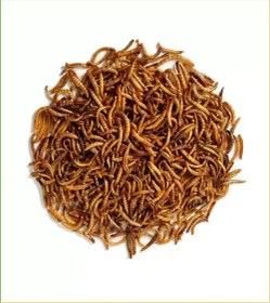 تصویر میلورم 