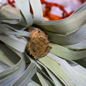 تصویر مستوک 