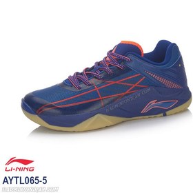 تصویر کفش بدمینتون لی نینگ مدل Li-Ning AYTL065-5 