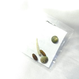 تصویر مهره مار اصل 