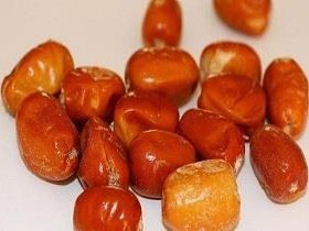 تصویر سنجد بسته 100 گرمی