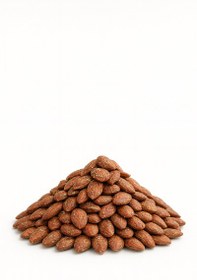 تصویر تخمه جابانی 