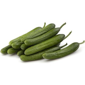 تصویر خیار سبز یزدی محلی 