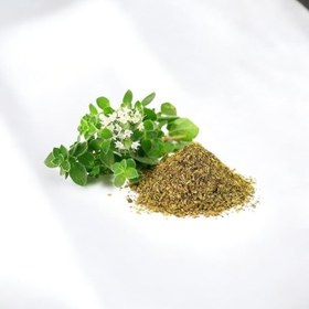 تصویر پونه خشک 