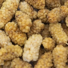 تصویر خرید توت خشک 200 گرمی 