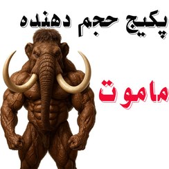 تصویر پکیج حجم دهنده (ALL IN ONE) ماموت 