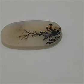 تصویر نگین شجر تک درخت کد15 