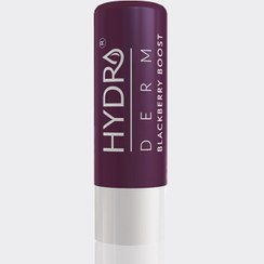 تصویر بالم لب رنگی شاتوت هیدرودرم Hydroderm Blackberry Boost Lip Balm 4.5g 