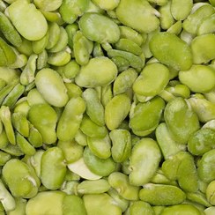 تصویر باقلا سبز فله منجمد بهفرین 