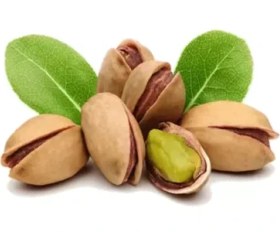 تصویر نهال پسته احمد آقایی 