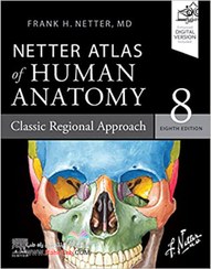 تصویر Netter Atlas of Human Anatomy 8th Edition | کتاب اطلس آناتومی نتر چاپ هشتم ۲۰۲۳ 