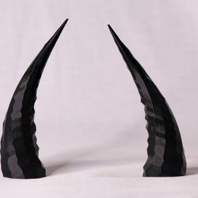 تصویر شاخ کلاه کاسکت (بلند) 