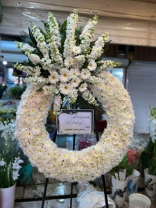 تصویر فروشگاه گل و گیاه فلوریکا