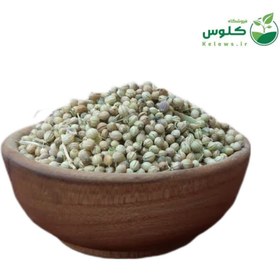 تصویر تخم گشنیز 5 کیلویی 