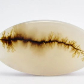 تصویر سنگ شجر کد 2321 