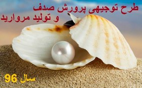 تصویر طرح توجیهی پرورش صدف و تولید مرواردید 