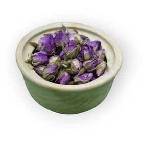 تصویر غنچه گل محمدی 