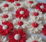 تصویر گیفت انار یلدایی - رنگ بندی و تعداد قابل اجراس 