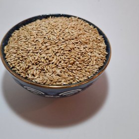 تصویر کتان بومی 